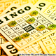 bingo games online